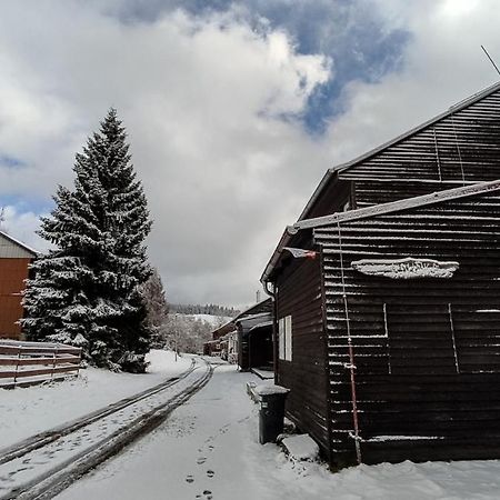 Penzion Apartmany Aninka Mariánská エクステリア 写真